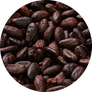Cocoa-Beans-Seeds600x600